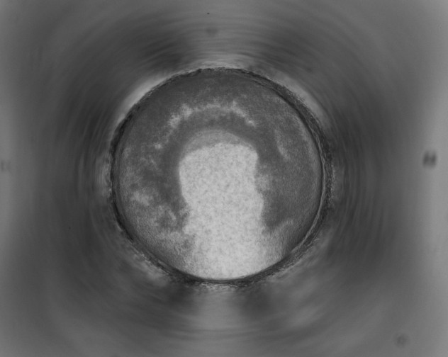 X0000101150878200807071146