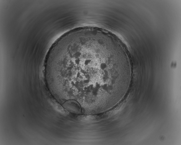 X0000101150879200807071146