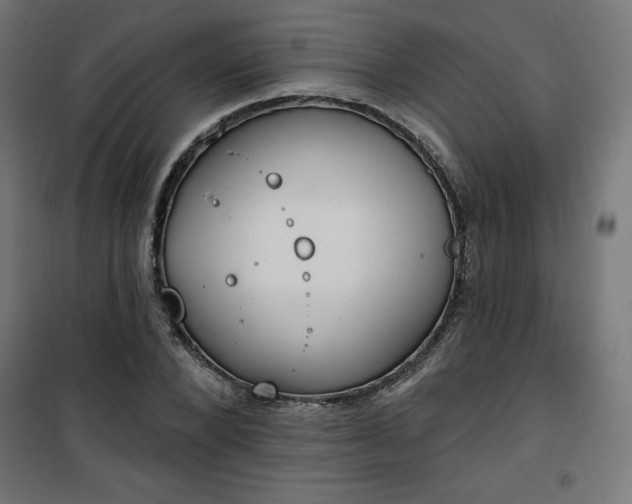 X0000101150880200807071146