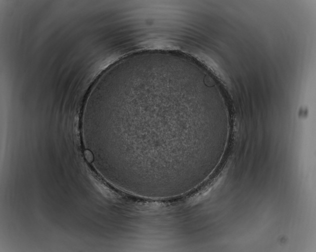 X0000101150881200807071146