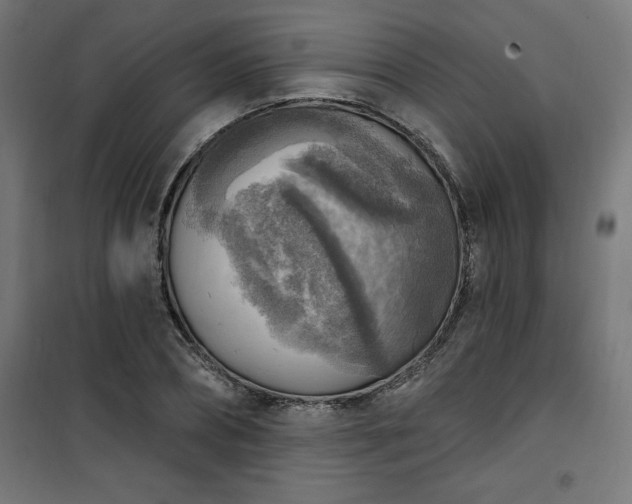 X0000101150882200807071146