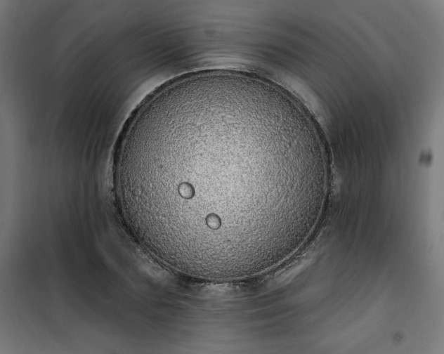 X0000101150883200807071146