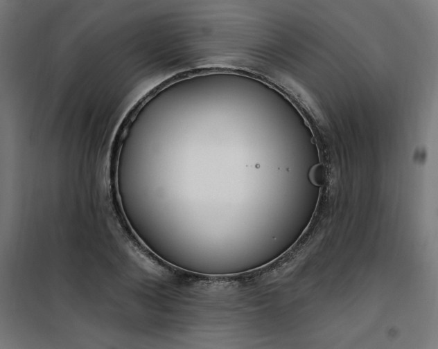 X0000101150884200807071146