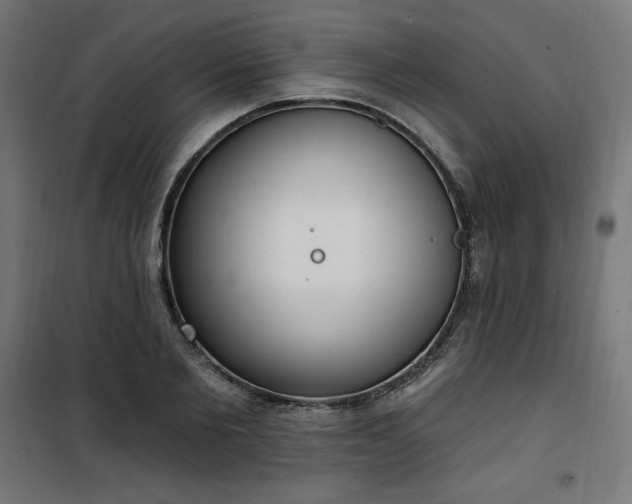 X0000101150885200807071146