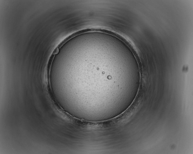 X0000101150887200807071146