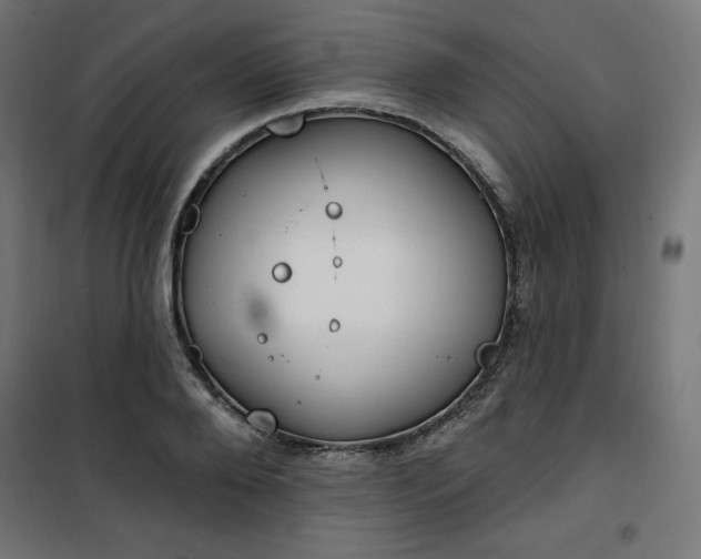 X0000101150888200807071146