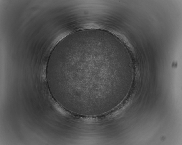 X0000101150889200807071146