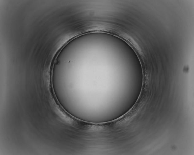 X0000101150890200807071146