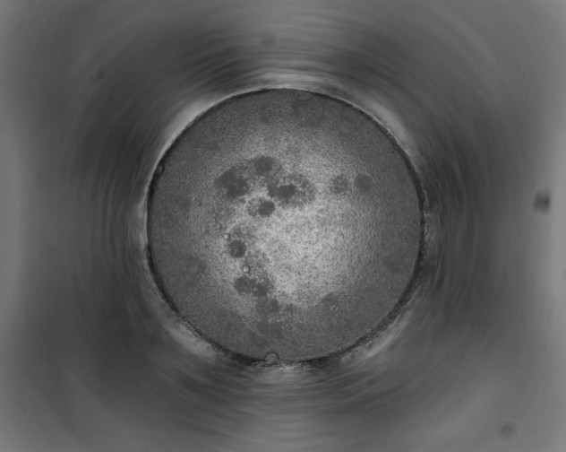 X0000101150891200807071146