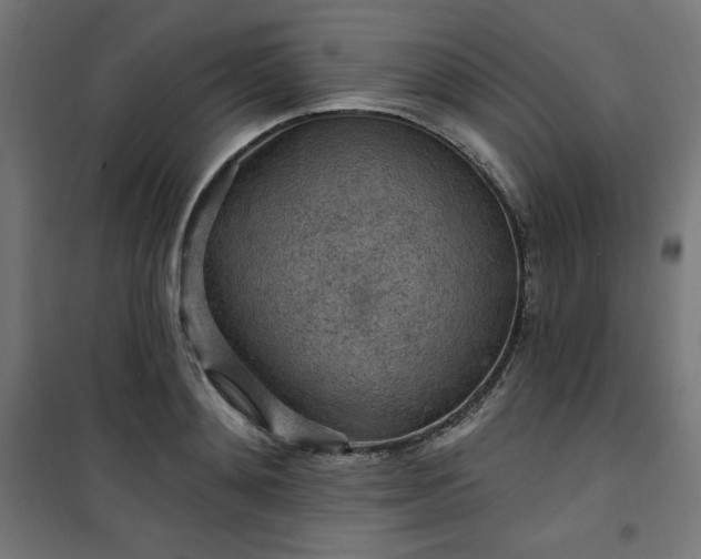 X0000101150892200807071146