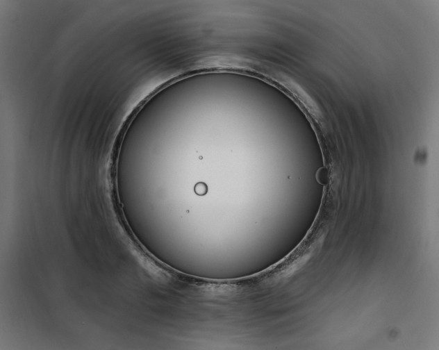 X0000101150893200807071146