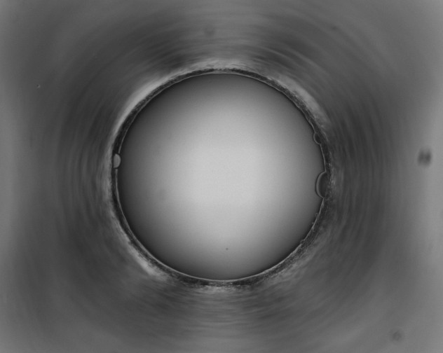 X0000101150894200807071146