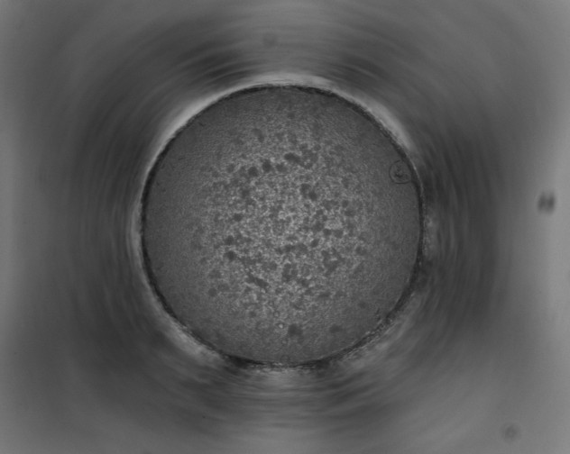 X0000101150895200807071146