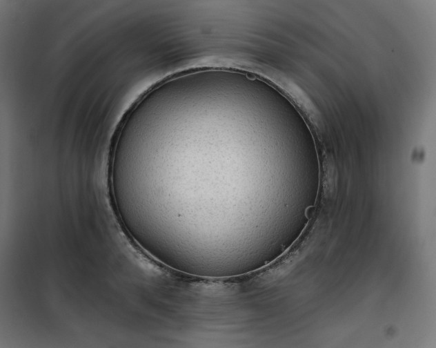 X0000101150896200807071146