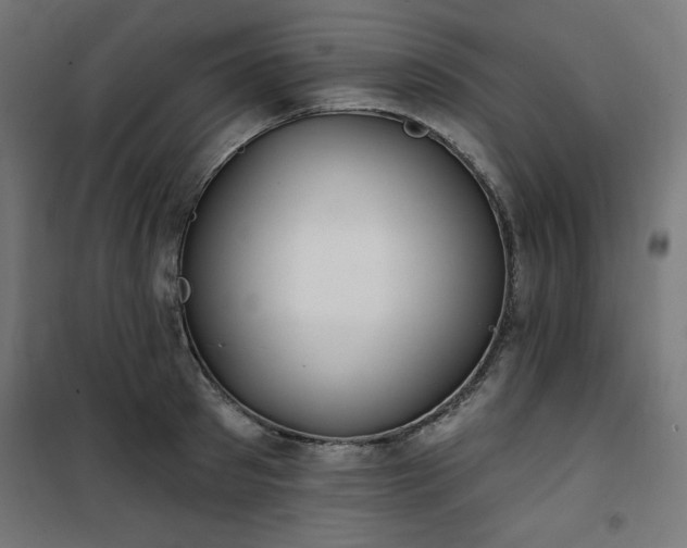 X0000101150897200807071146