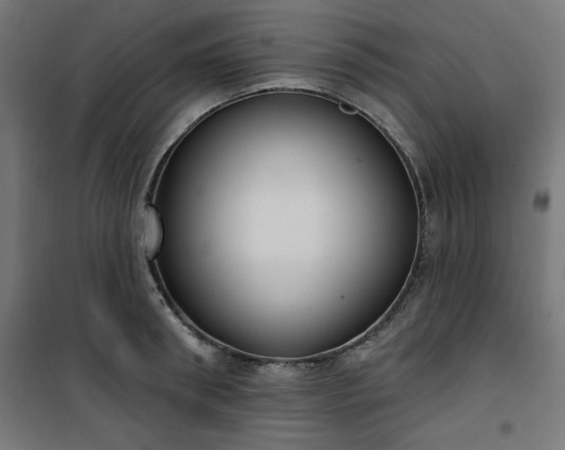 X0000101150898200807071146