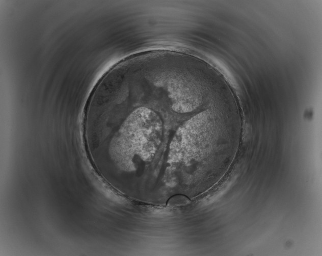 X0000101150899200807071146