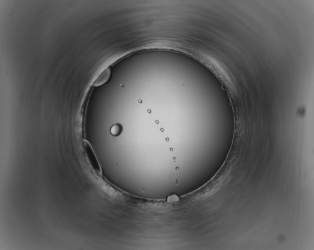 X0000101150900200807071146