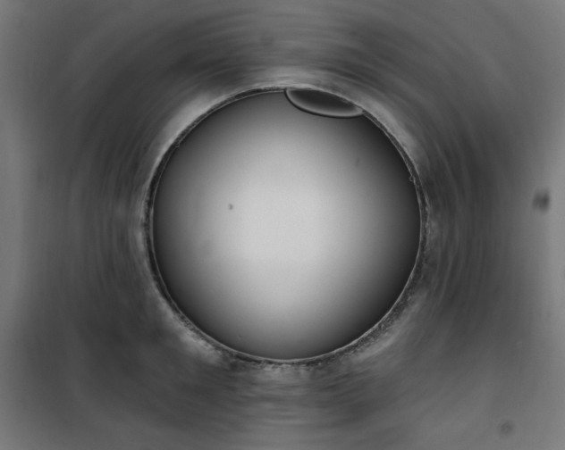 X0000101150901200807071146