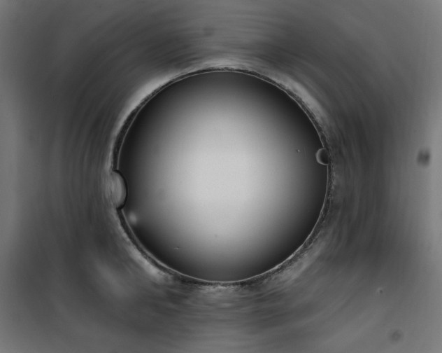 X0000101150902200807071146