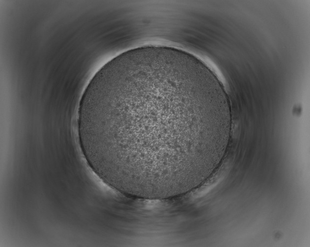 X0000101150903200807071146