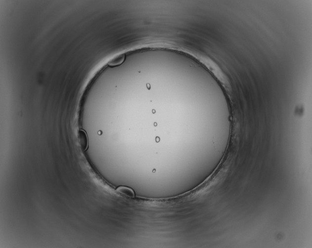 X0000101150904200807071146