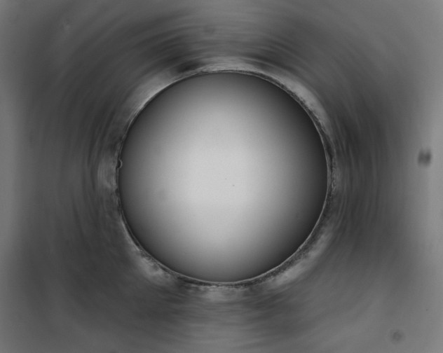 X0000101150905200807071146