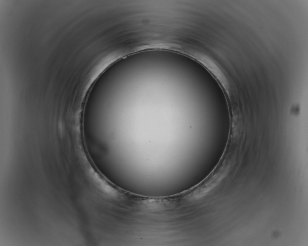 X0000101150906200807071146