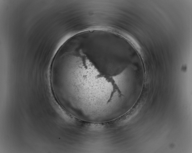 X0000101150907200807071146