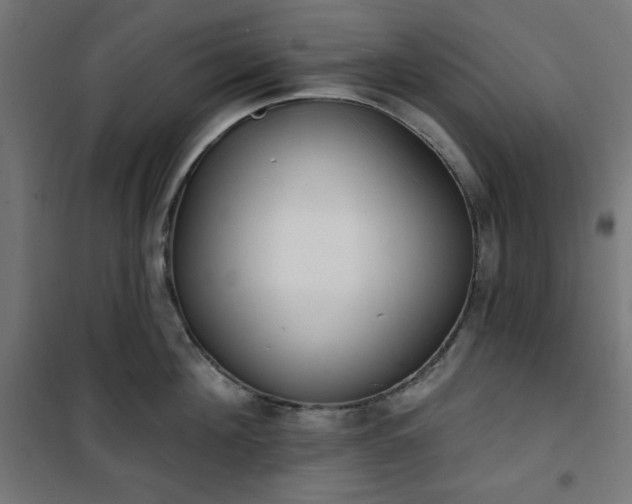 X0000101150908200807071146