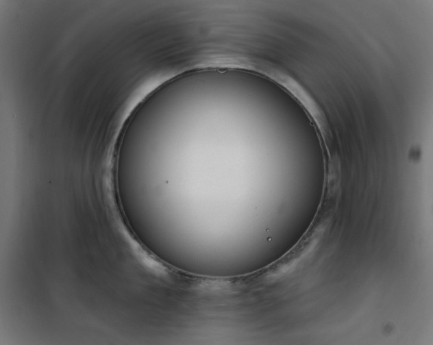 X0000101150909200807071146