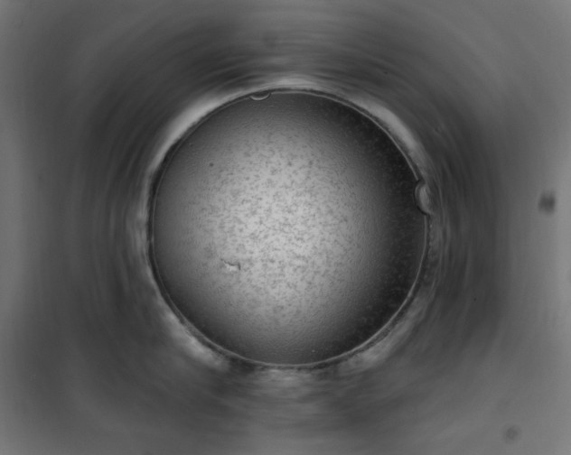 X0000101150910200807071146