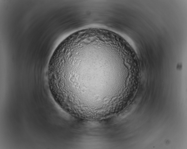 X0000101150911200807071146