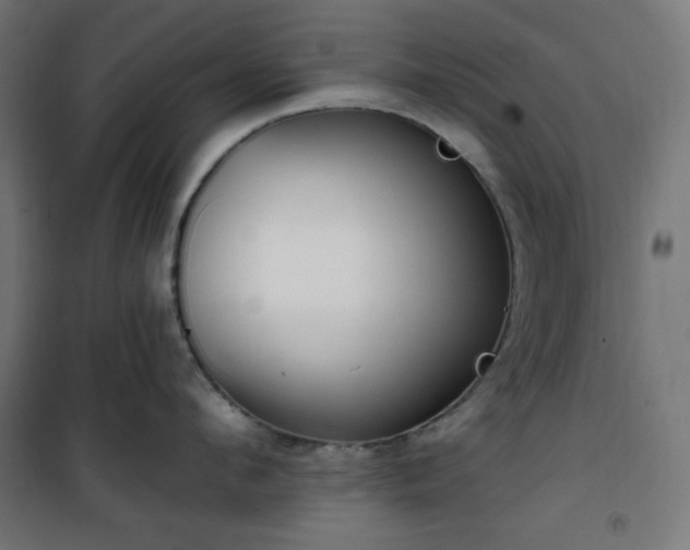 X0000101150912200807071146