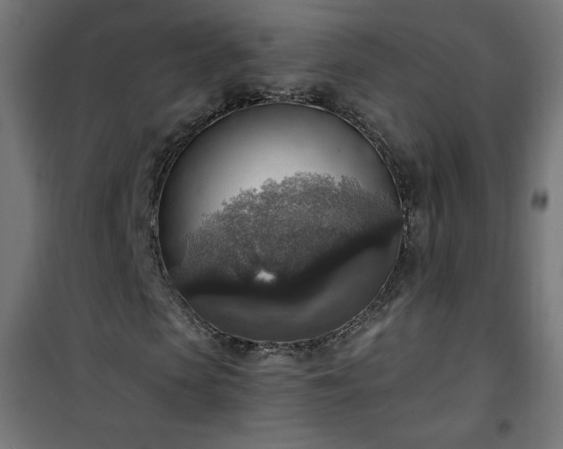 X0000101150913200807071145