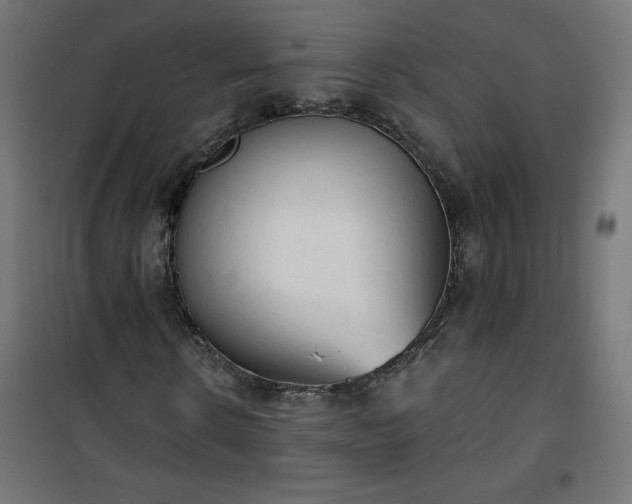 X0000101150914200807071145