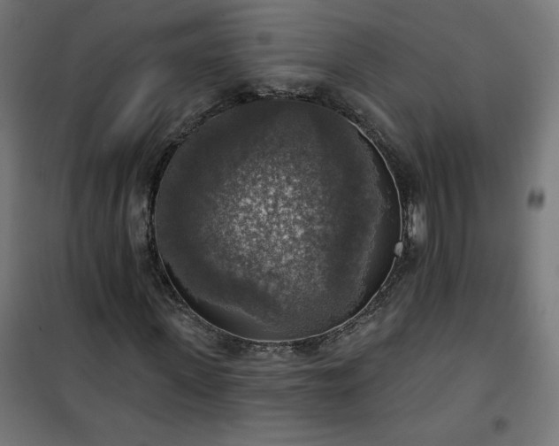 X0000101150915200807071145