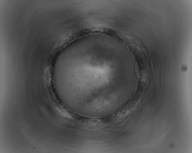 X0000101150916200807071145