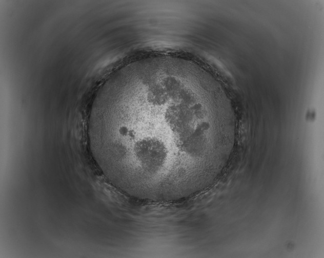 X0000101150917200807071145