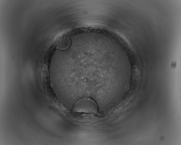 X0000101150918200807071145