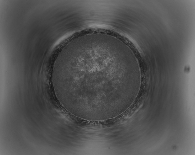 X0000101150919200807071145