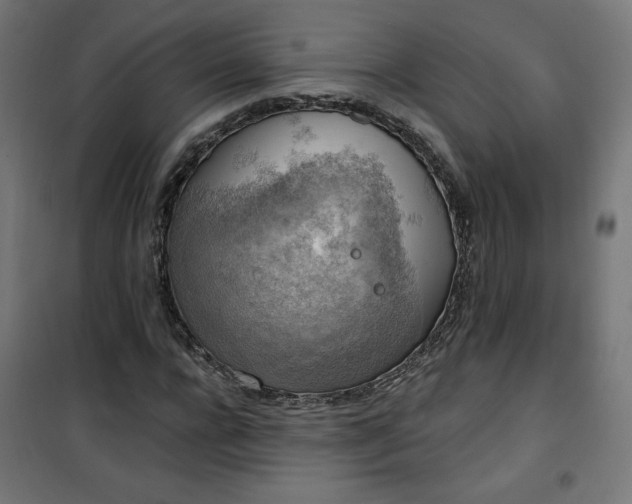 X0000101150920200807071145