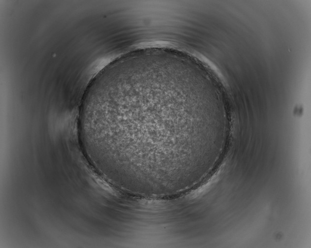 X0000101150921200807071145