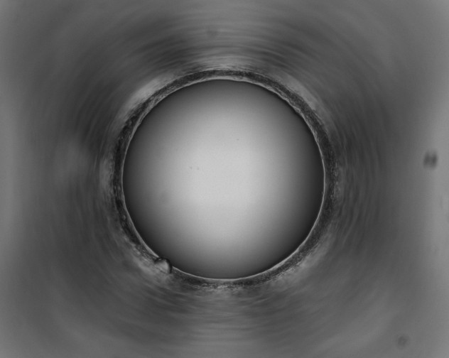 X0000101150922200807071145