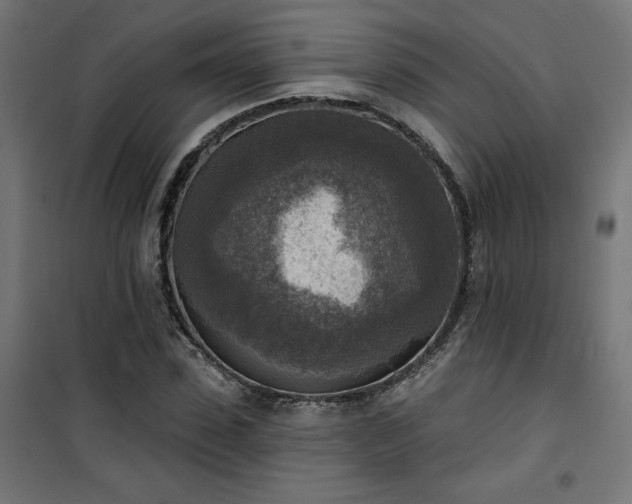 X0000101150923200807071145