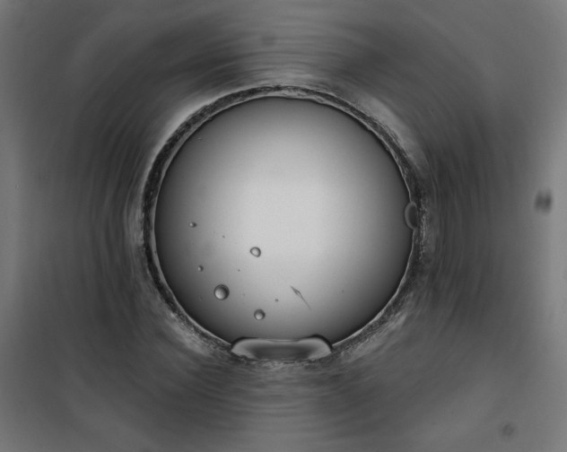 X0000101150924200807071145