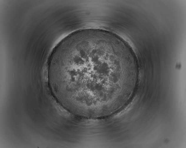 X0000101150925200807071145