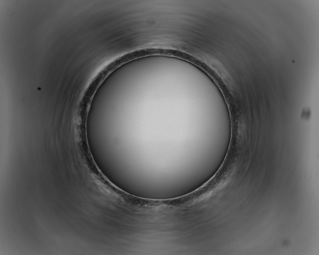 X0000101150926200807071145