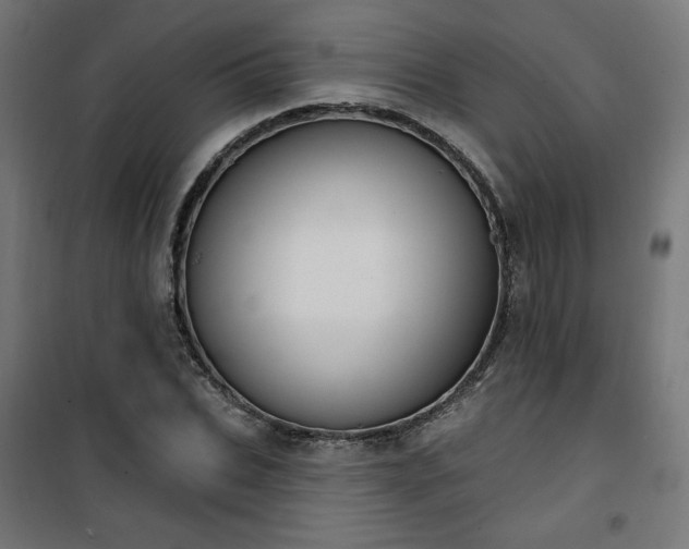 X0000101150927200807071145