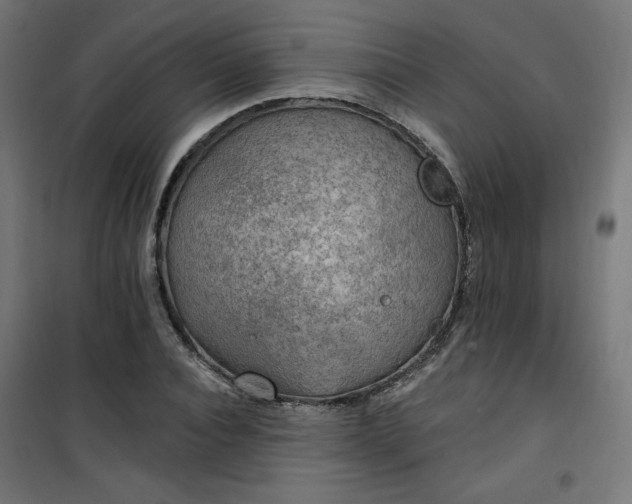 X0000101150928200807071145